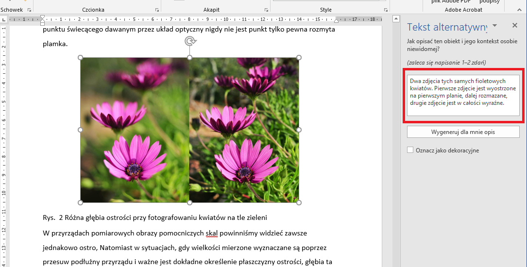 Zrzut ekranu z programu MS Word - dodawanie tekstu alternatywnego do zdjęcia